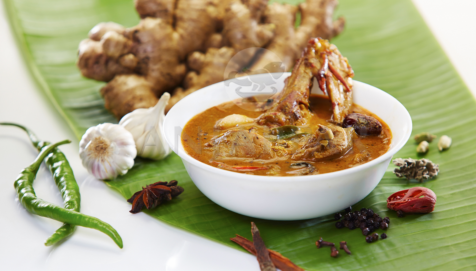 Indian Cuisine Dish 2