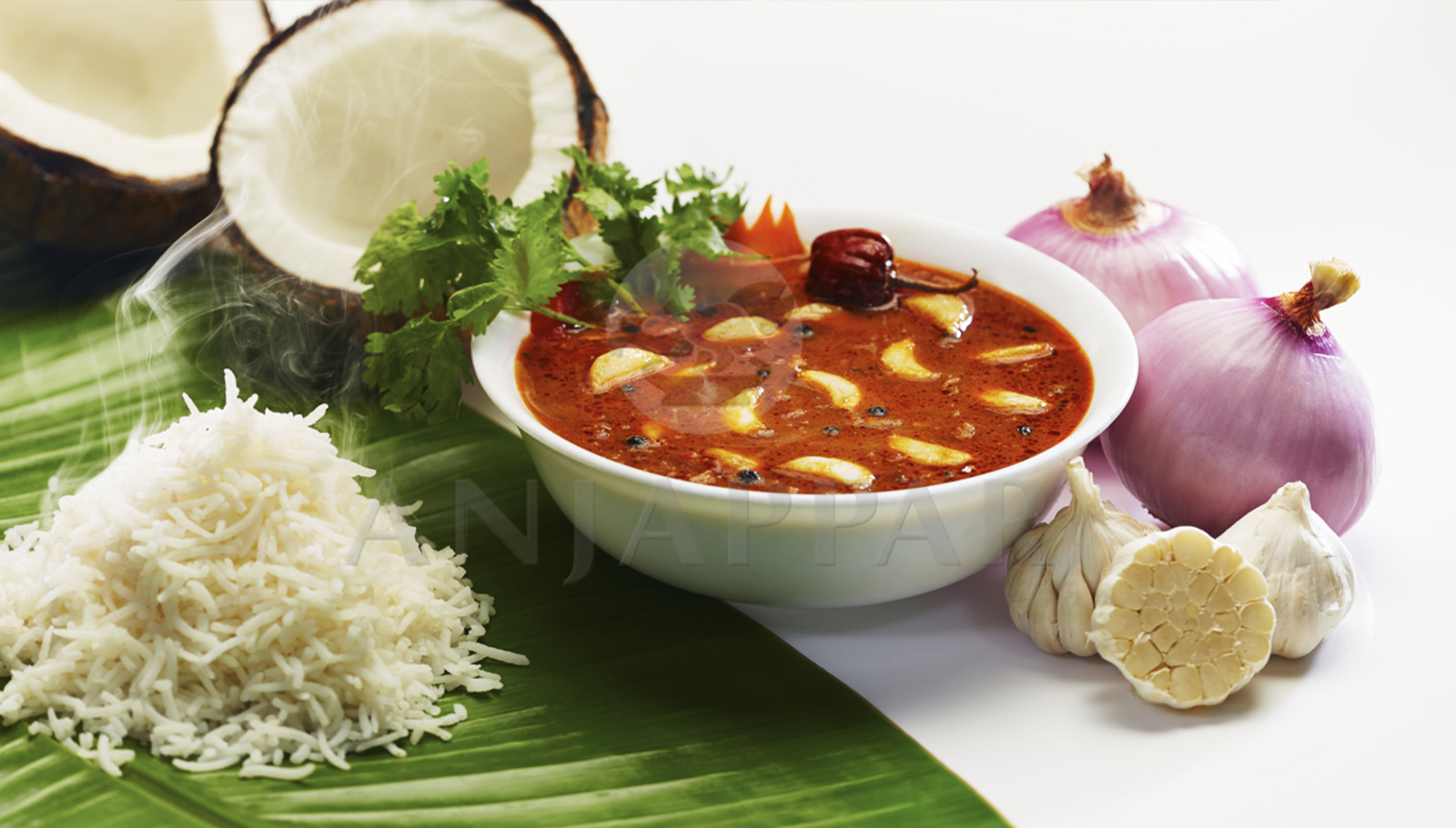 Indian Cuisine Dish 3